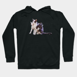 Tail Hug Hoodie